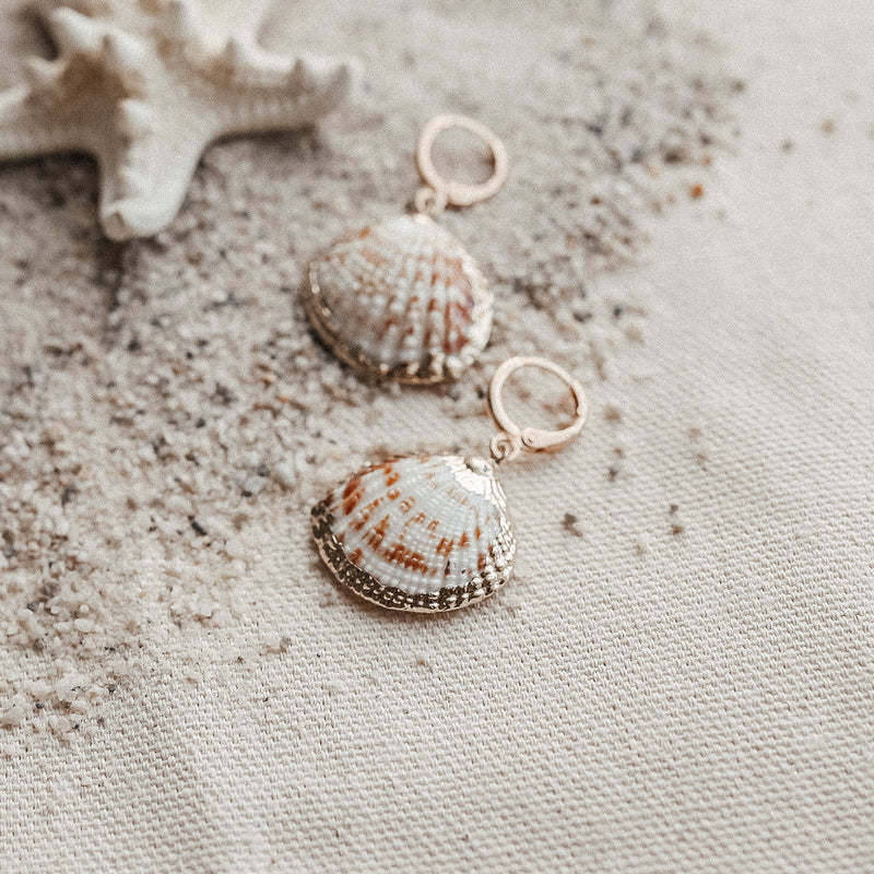 Navarre Seashell Earrings