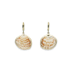 Navarre Seashell Earrings