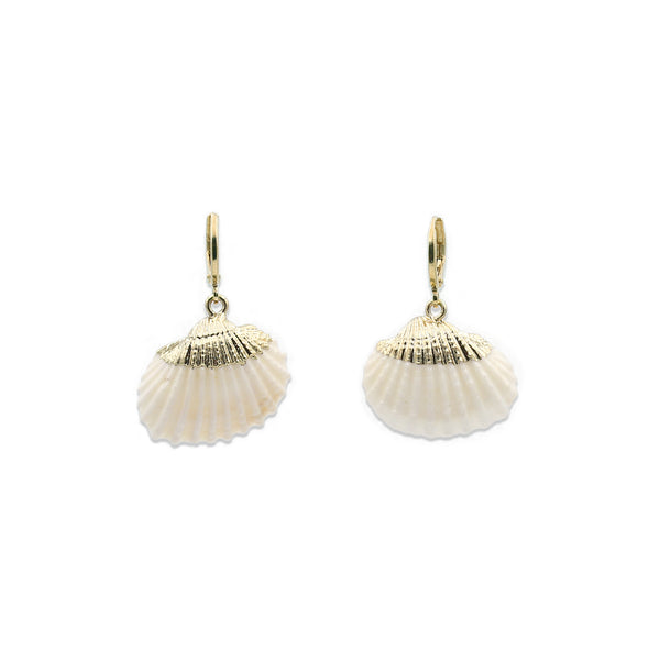 Santa Rosa Seashell Earrings